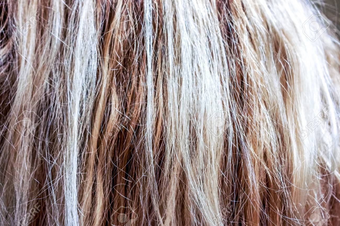 多くの自然な金髪縦カール 本物の女性の髪の質感 髪の毛横糸 絹のようなボリュームで乾いた髪 実際にヨーロッパの人間の毛髪の壁紙のテクスチャです 茶色ブロンド ブロンドと黒 の写真素材 画像素材 Image