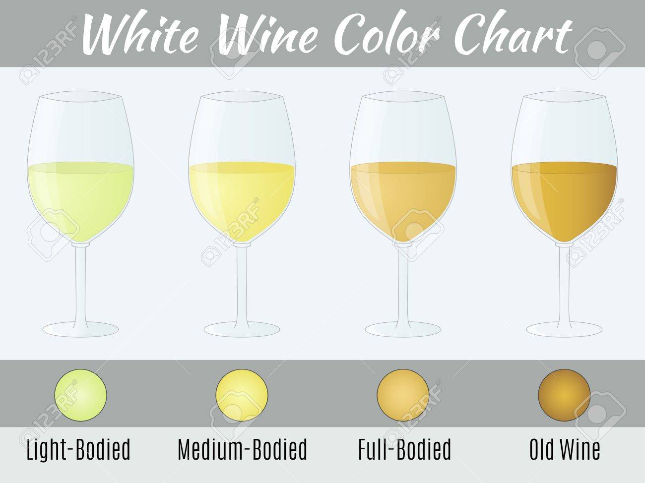 White wine color chart. Hand drawn wine glasses. - 61427888 White wine color chart. Hand drawn wine glasses. - 61427888
