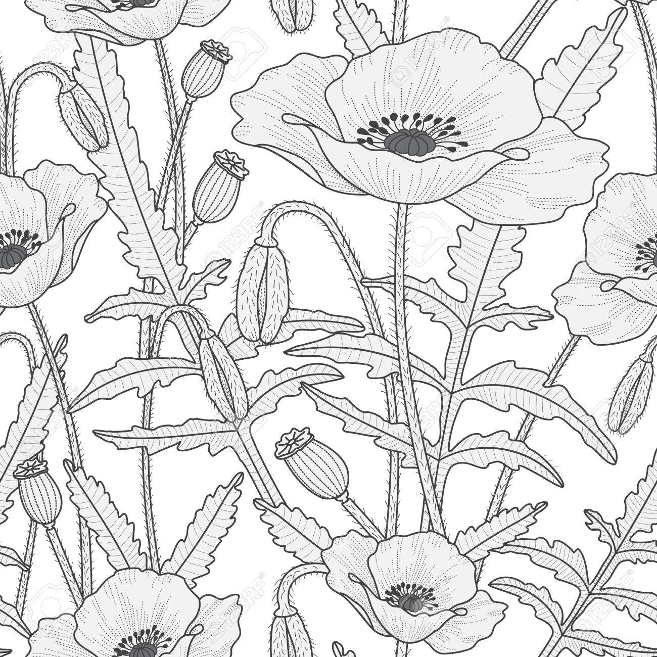 美しいケシの花とエレガントな花柄シームレスな葉 芽 ポピーの頭 黒と白の繁栄の背景 細い線のスタイル のイラスト素材 ベクタ Image