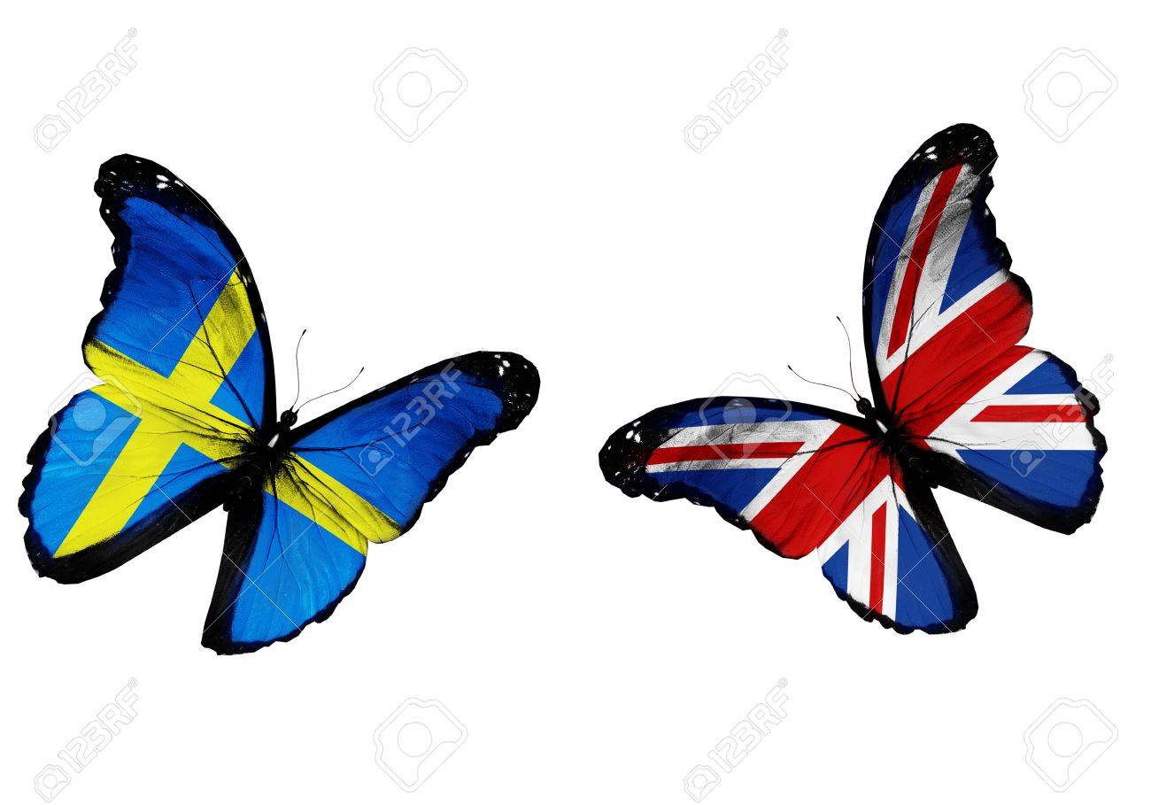 コンセプト 2 つはスウェーデン語と英語のフラグを再生 2 つのサッカー チームのように 飛んで蝶します の写真素材 画像素材 Image