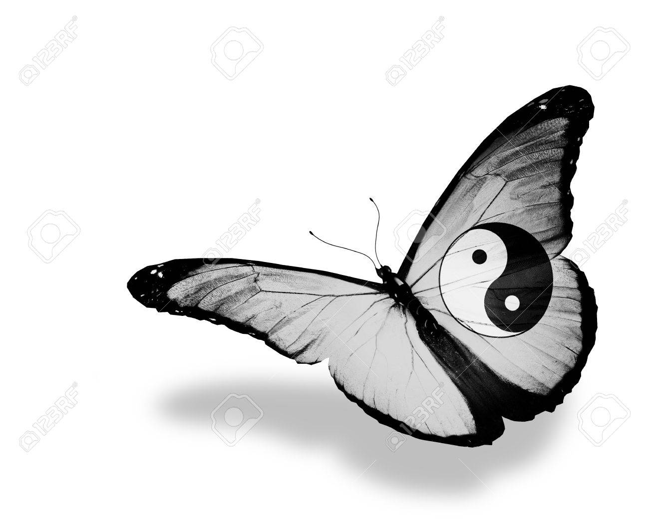 yin yang butterfly design bestpickr yin yang butterflies stickers yin yang butterfly design bestpickr yin yang butterflies stickers