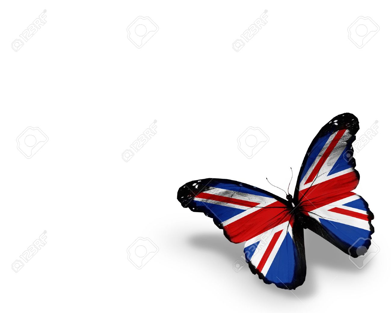白い背景で隔離の英語フラグ蝶 の写真素材 画像素材 Image