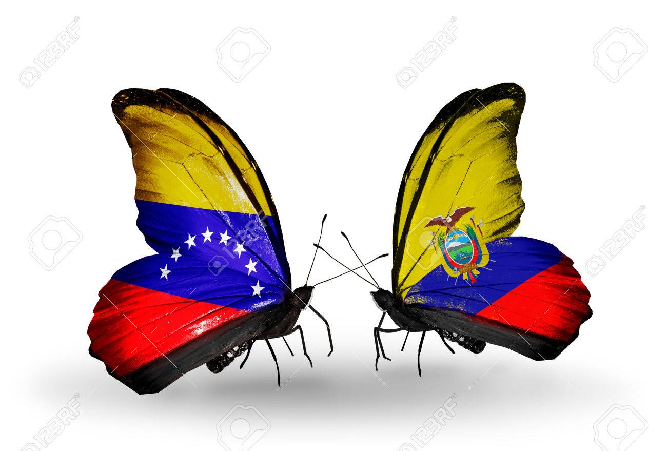Animal De La Bandera De Ecuador Two Butterflies With Flags On Wings As Symbol Of Relations Venezuela And  Ecuador Stock Photo, Picture And Royalty Free Image. Image 28206699.