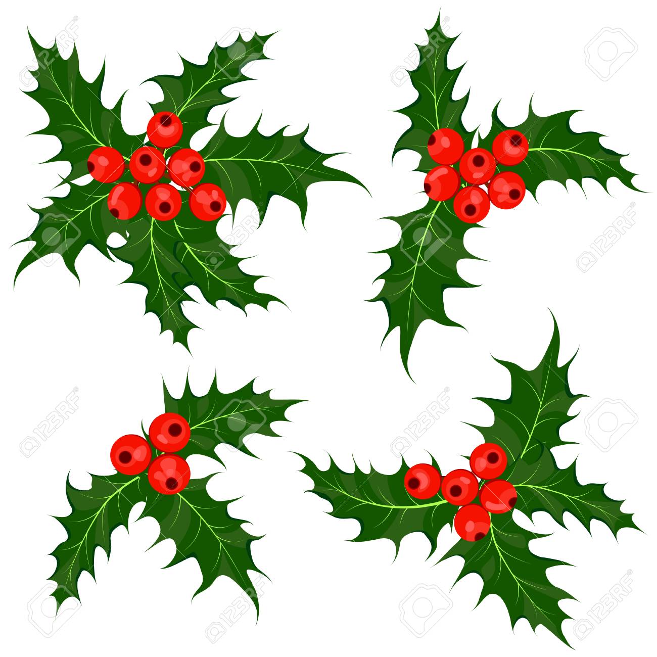 The three main Christmas symbols are mistletoe, holly and striped mint cane-shaped candy The three main Christmas symbols are mistletoe, holly and striped mint cane-shaped candy