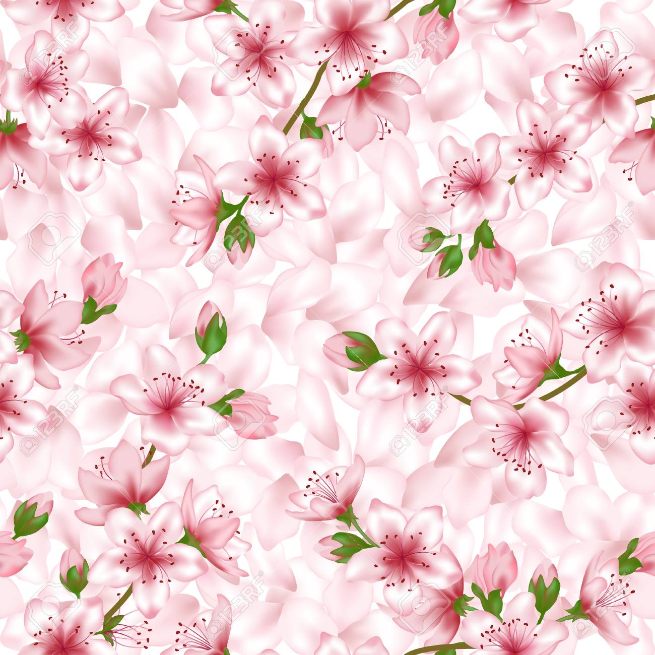 Japanese cherry blossom vector seamless pattern. Pink cherry..