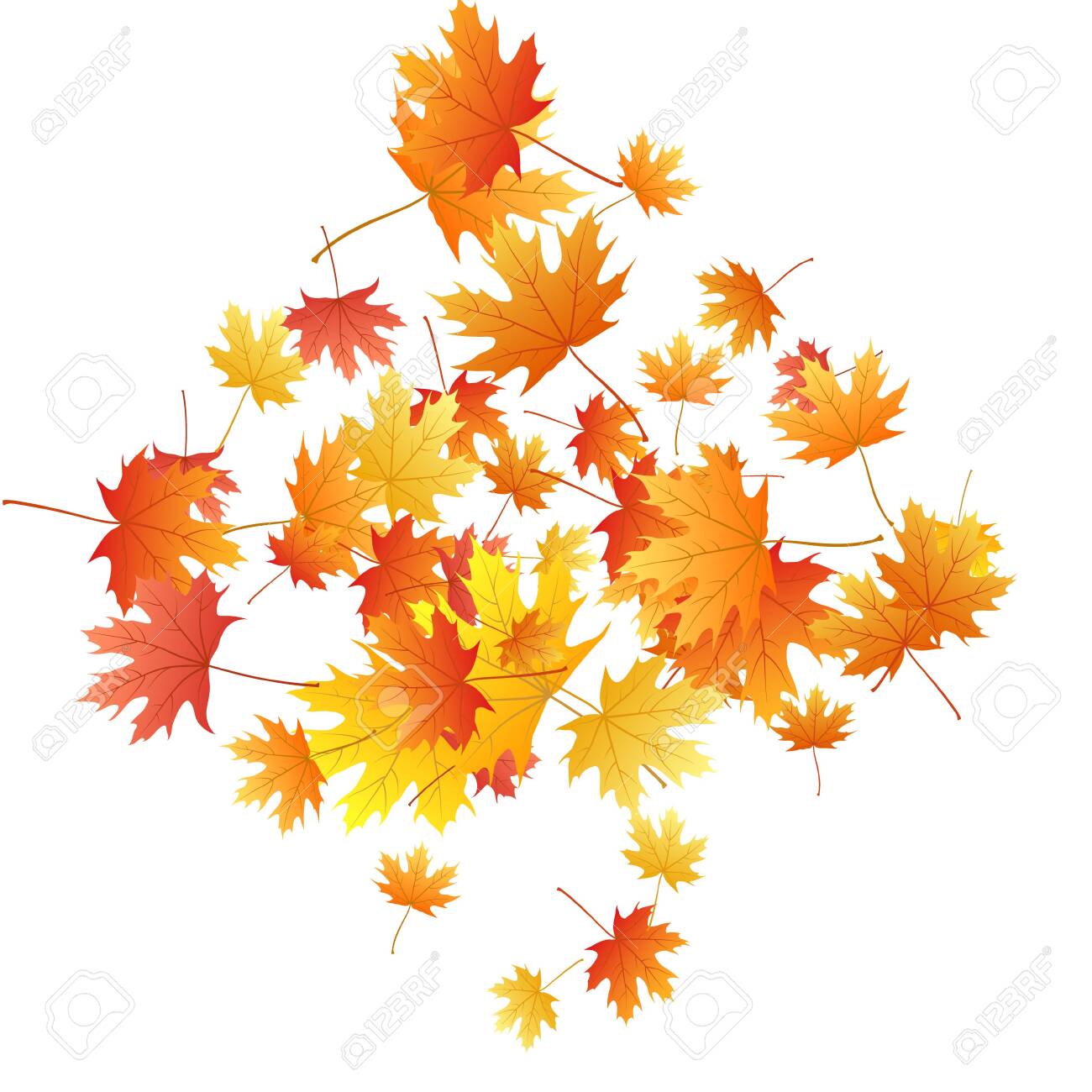 Maple leaves vector background, autumn foliage on white graphic design. Canadian symbol maple red yellow gold dry autumn leaves. Fancy tree foliage vector october season specific background. - 134780939 Maple leaves vector background, autumn foliage on white graphic design. Canadian symbol maple red yellow gold dry autumn leaves. Fancy tree foliage vector october season specific background. - 134780939