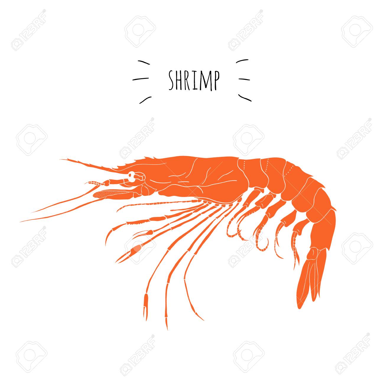 オレンジ色の海老ベクトル 白い背景で隔離のロゴです 手には 海鮮寿司レストランのメニューや看板のイラストのアイコンが描画されます エビ 日本の海産物 のイラスト素材 ベクタ Image 7014