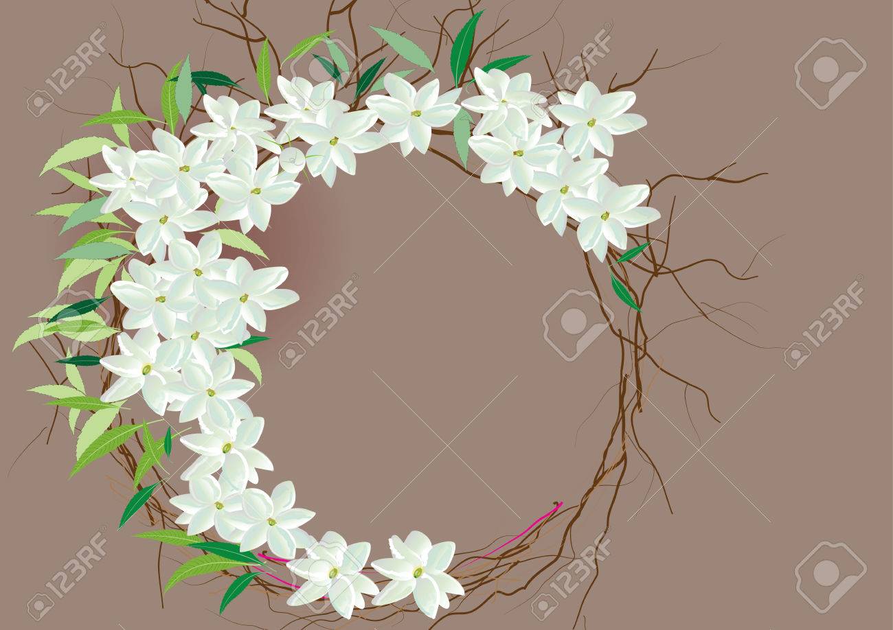 クラウン ジャスミン花葉平面図と側面図 Vectorのイラスト素材 ベクタ Image