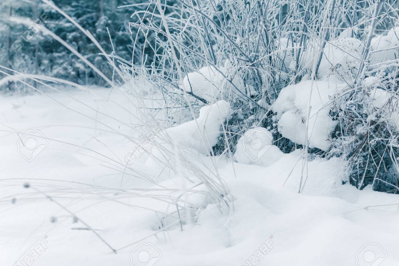 abstract winter background winter outdoor scene happy new year christmas background for email