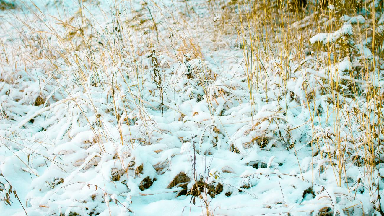 abstract winter background winter outdoor scene happy new year christmas background for email