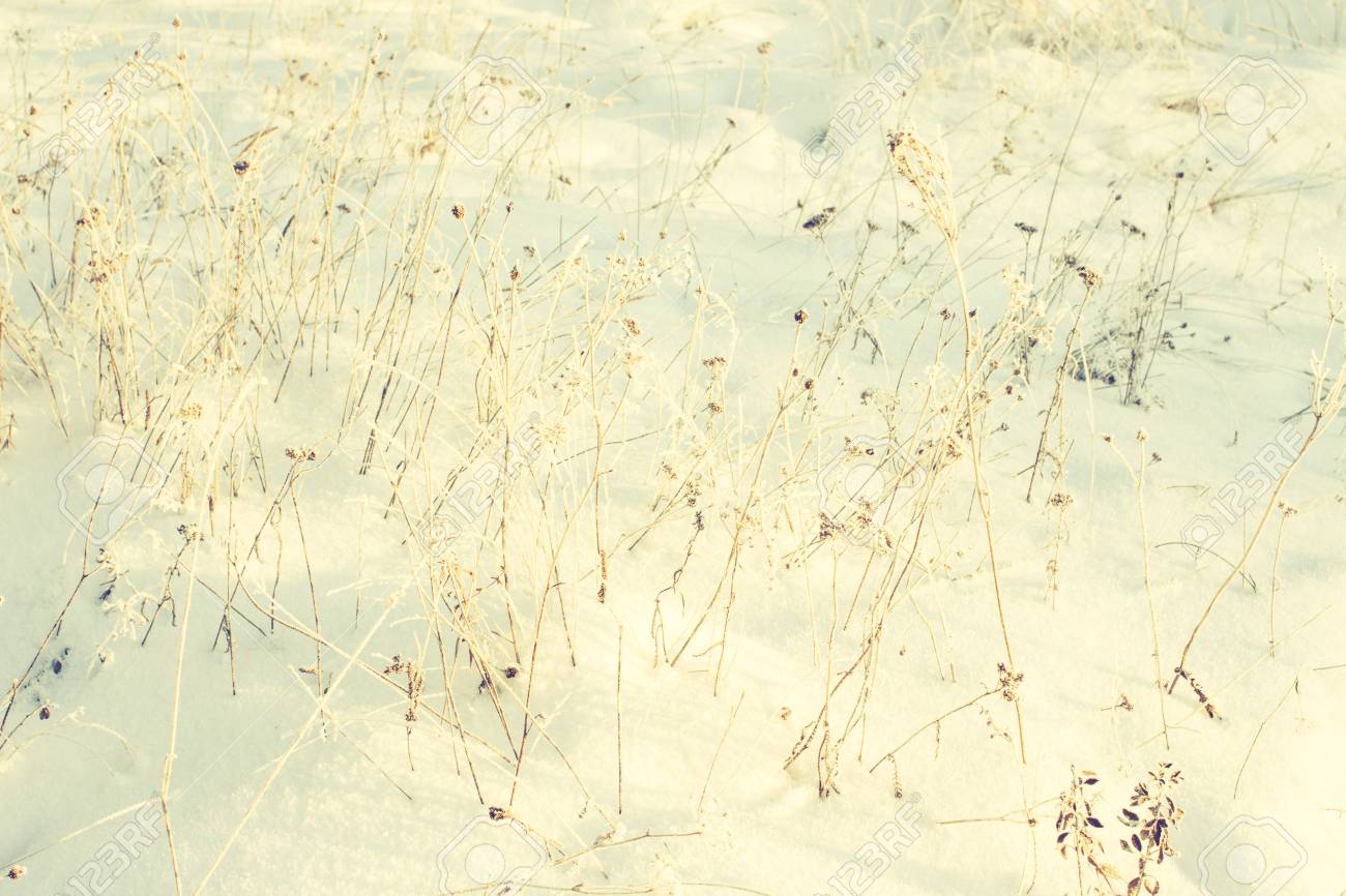 abstract winter background winter outdoor scene happy new year christmas background for email