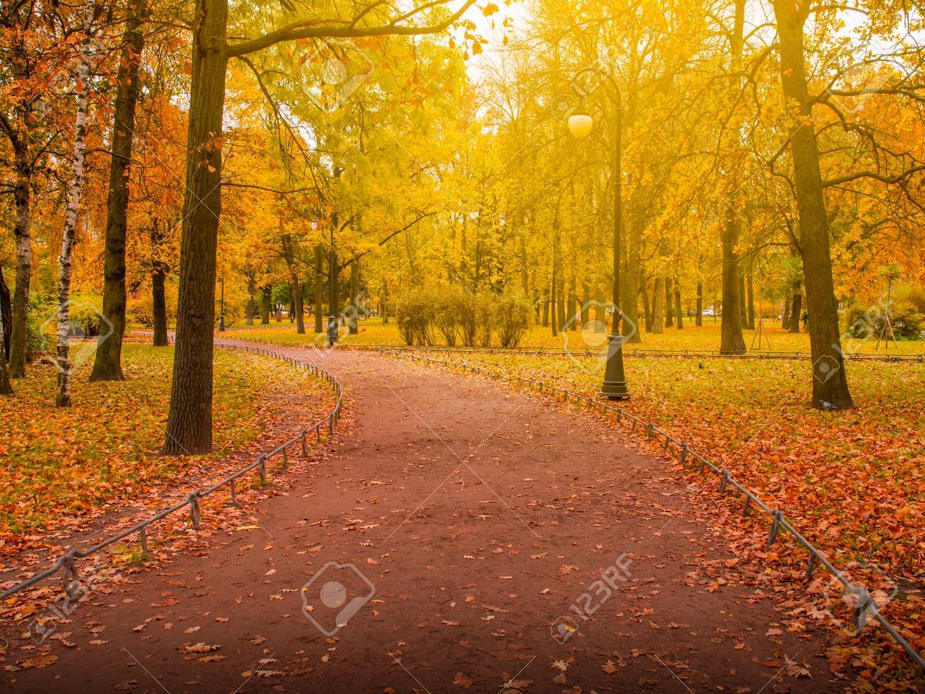 散歩道 秋の St Petersburg Autumn の木や葉っぱ 秋の風景 公園 秋 秋の木々 紅葉が秋の公園の森の秋の美しい秋の公園 の写真素材 画像素材 Image