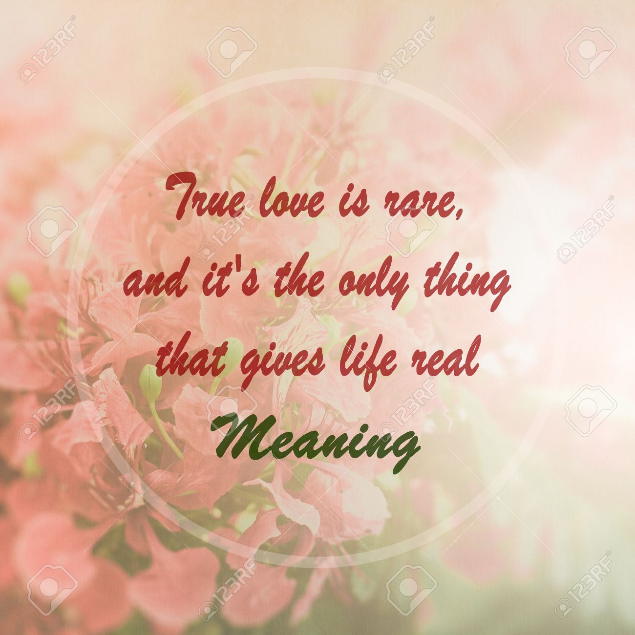 True Love Quotes - True love is rare, and it's the only thing