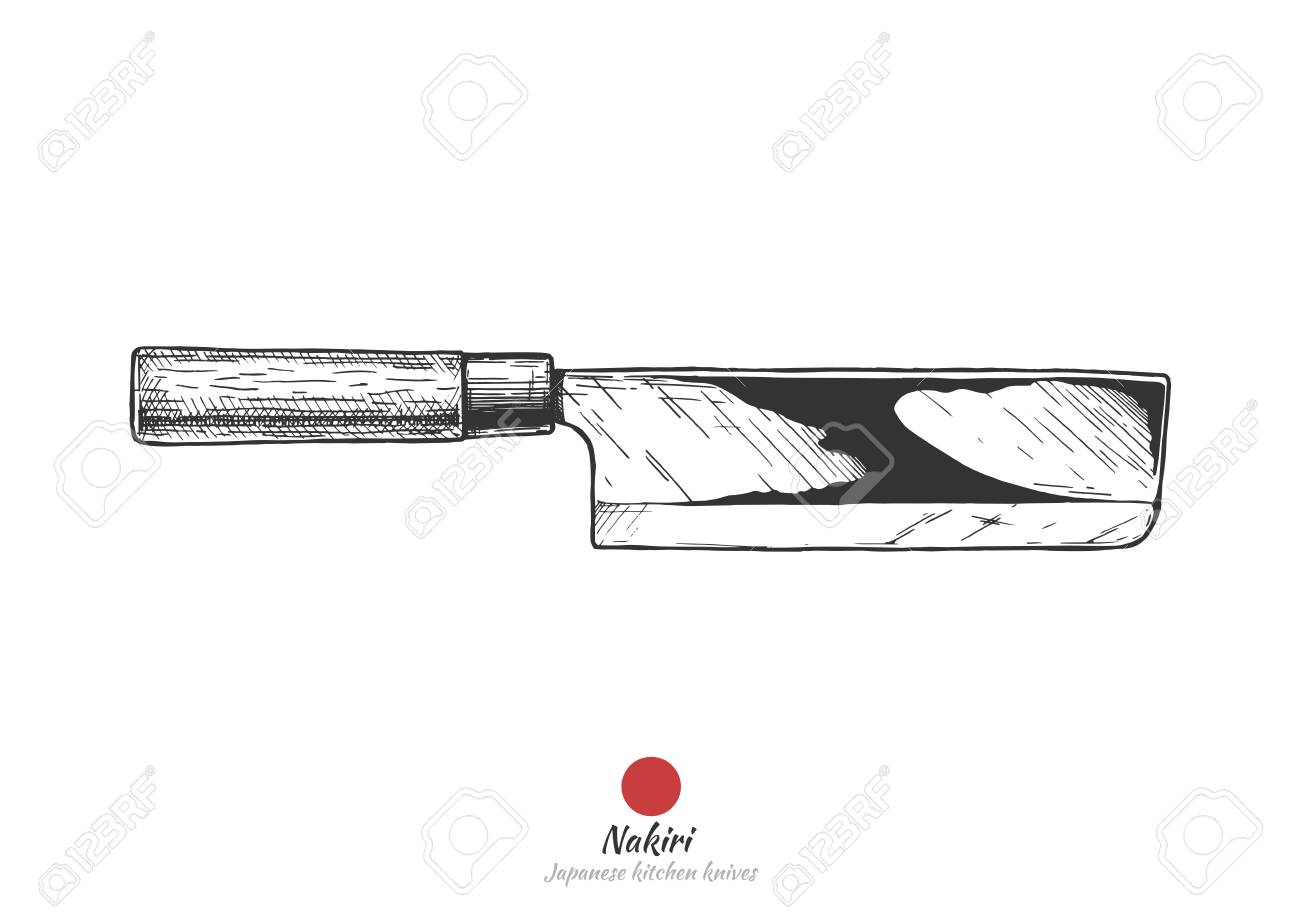 Nakiri Japanese Vegetable Kitchen Knife Vector Hand Drawn Illustration