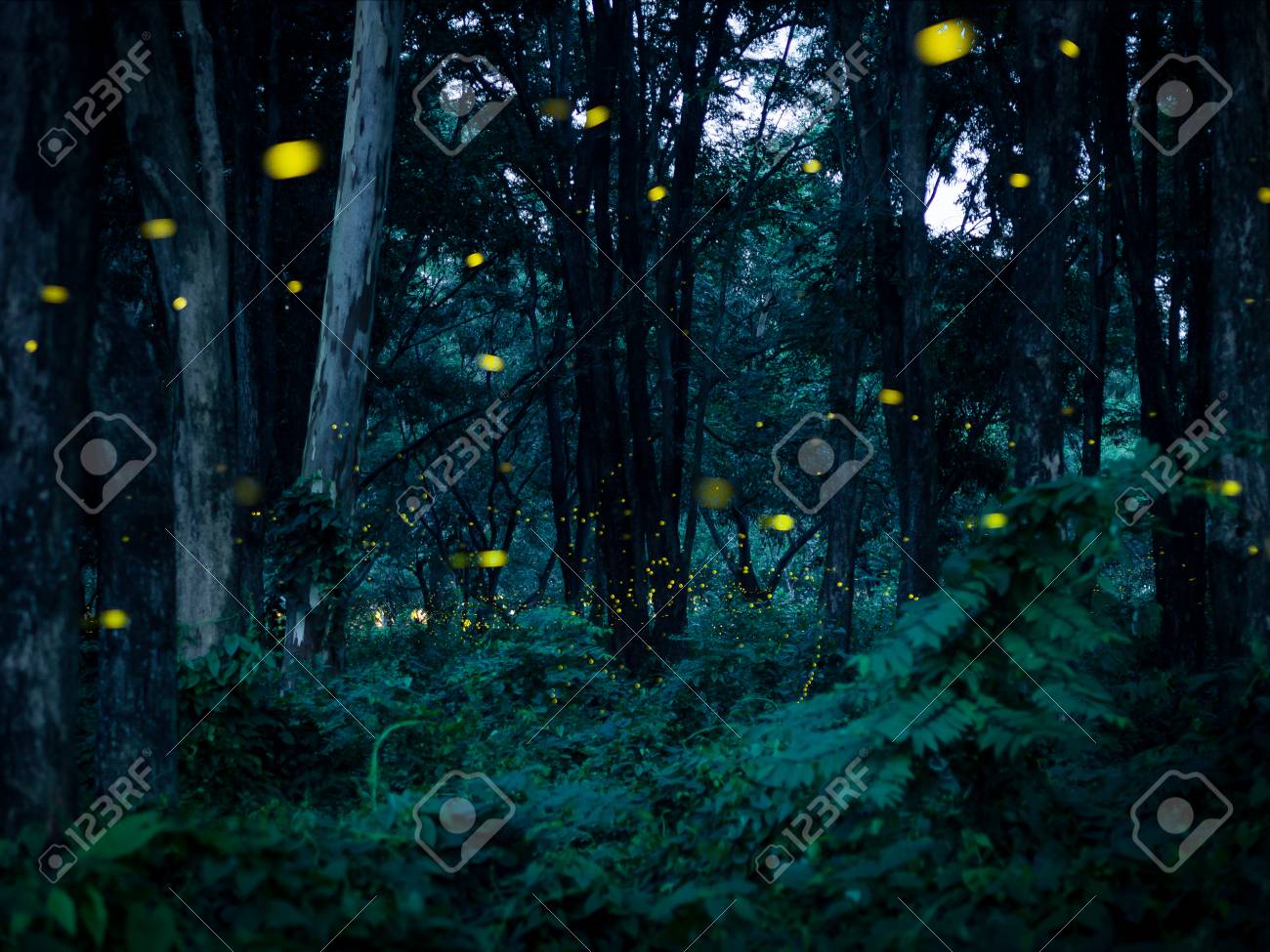 Firefly Flying In The Forest At Night In Prachinburi Thailand Stock Photo Picture And Royalty Free Image Image