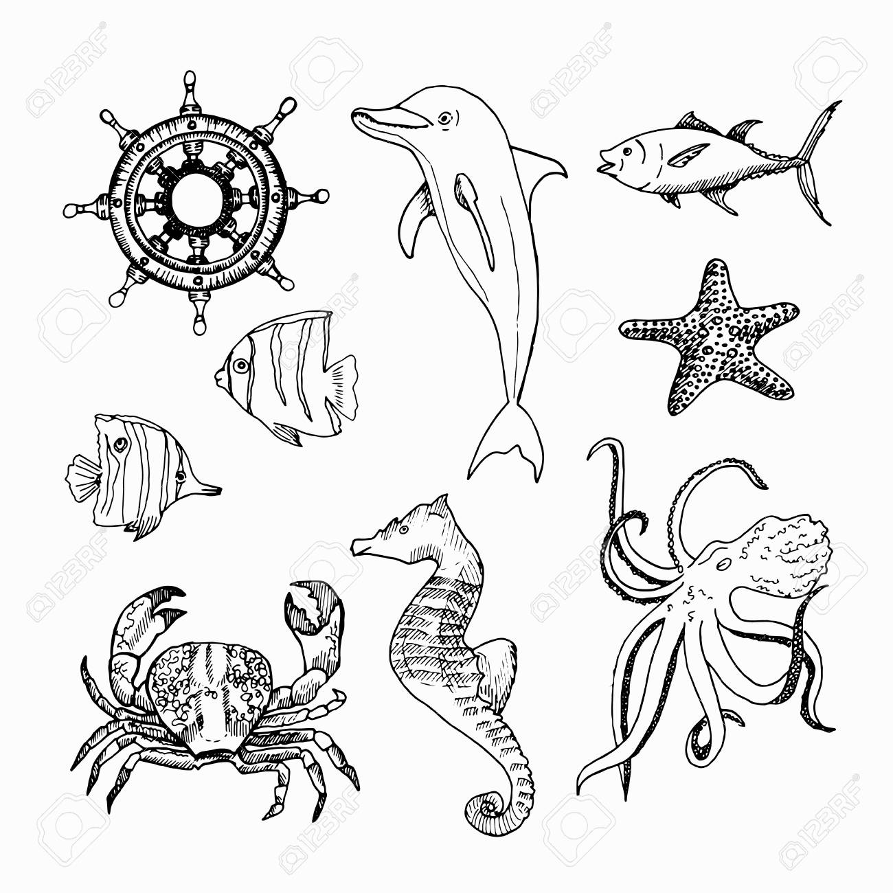 海の生き物は 白い背景で隔離 のイラスト素材 ベクタ Image