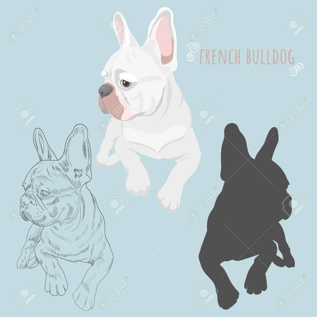 Bouledogue Francais Blanc Couche Isole Sur Fond Bleu Bebe Silhouette De Chien Et Croquis Dessine De Main De Canine De Race Pure Clip Art Libres De Droits Vecteurs Et Illustration Image Bouledogue Francais Blanc Couche Isole Sur Fond Bleu Bebe Silhouette De Chien Et Croquis Dessine De Main De Canine De Race Pure Clip Art Libres De Droits Vecteurs Et Illustration Image