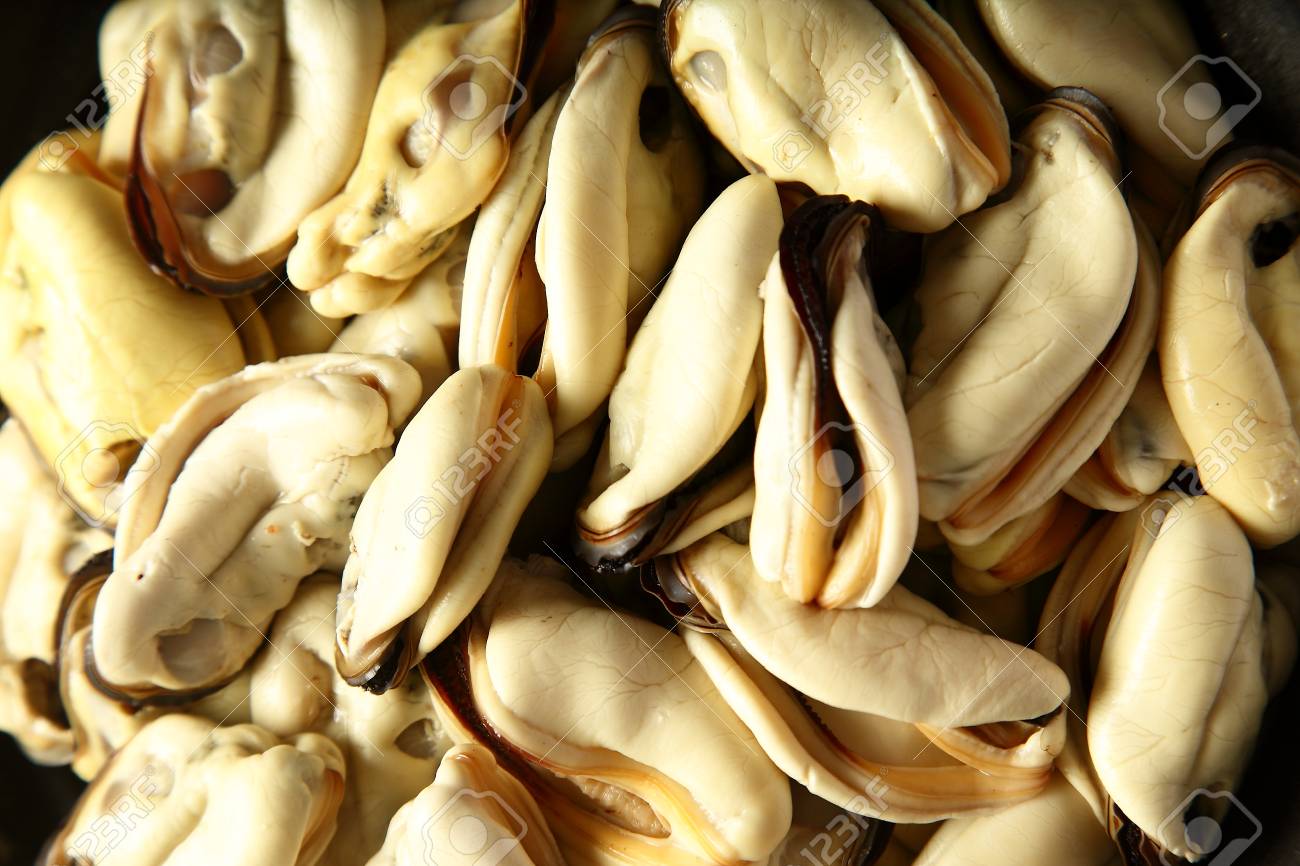 Processed Seafood Clam Meat. Stock 