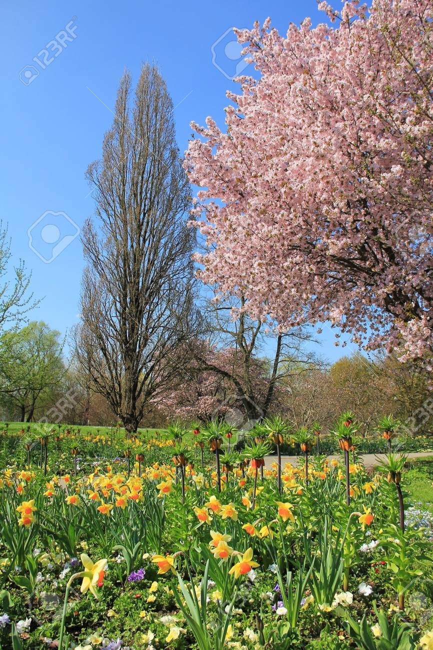 Lente landschap