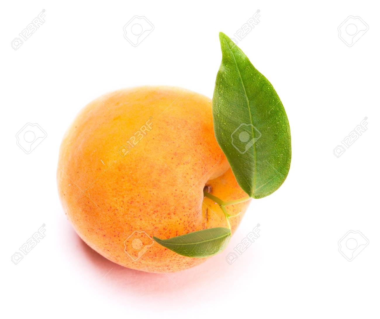 etiam-dictum-ipsum-a-felis