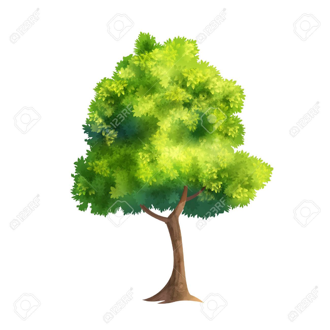 Color Vector Illustration Of Big Tree With Fresh Leaves Isolated On White - 61706363 Color Vector Illustration Of Big Tree With Fresh Leaves Isolated On White - 61706363