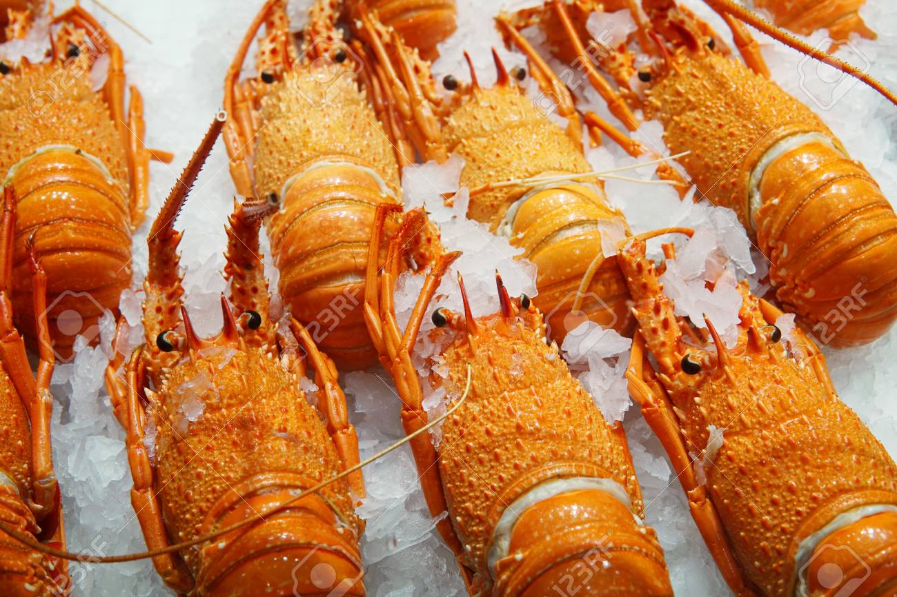 調理された西オーストラリアのロックロブスターに選択的な焦点は 魚市場で表示されます テイクアウトの準備ができている全体のロブスターの背景 の写真素材 画像素材 Image