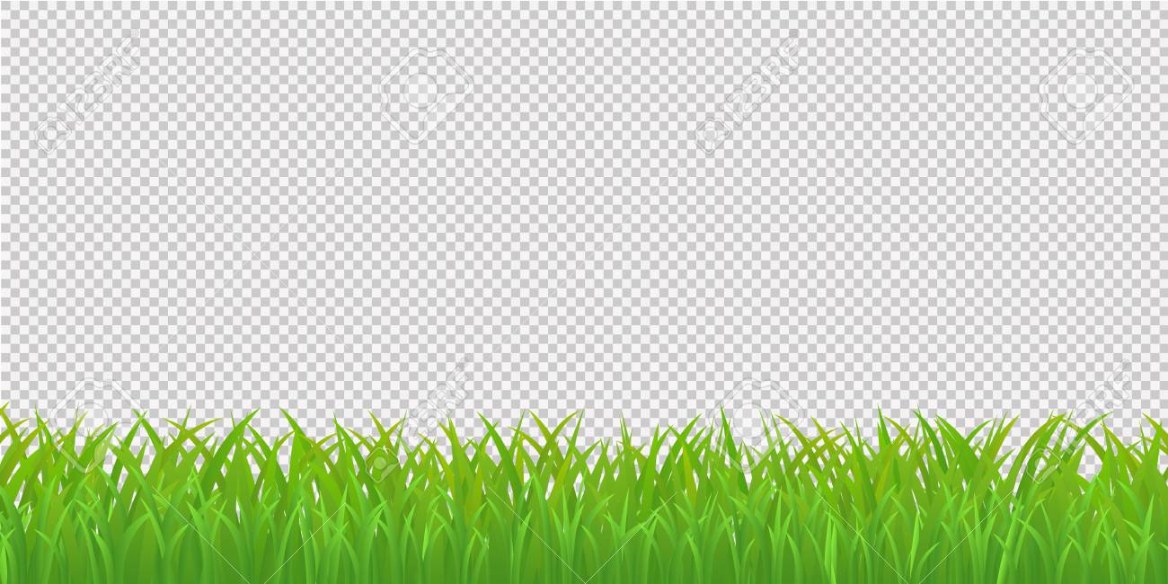 Green Grass Border Isolated On Transparent Background Vector Royalty Free Cliparts Vectors And Stock Illustration Image 97313441 green grass border isolated on transparent background vector