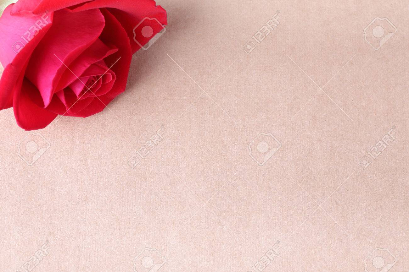 red rose flower on blank paper page for creative your message rose flower with paper