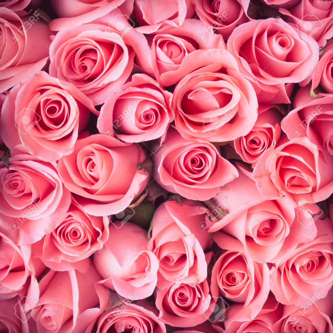 Pink Rose Flower Bouquet Vintage Background Stock Photo Picture And Royalty Free Image Image