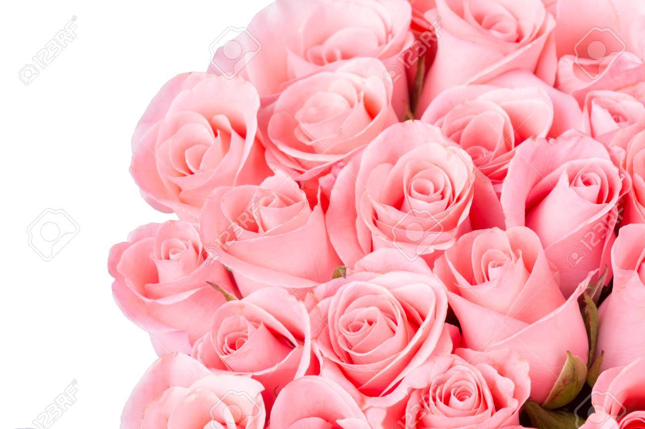 Pink Rose Flower Bouquet On White Background Stock Photo Picture And Royalty Free Image Image