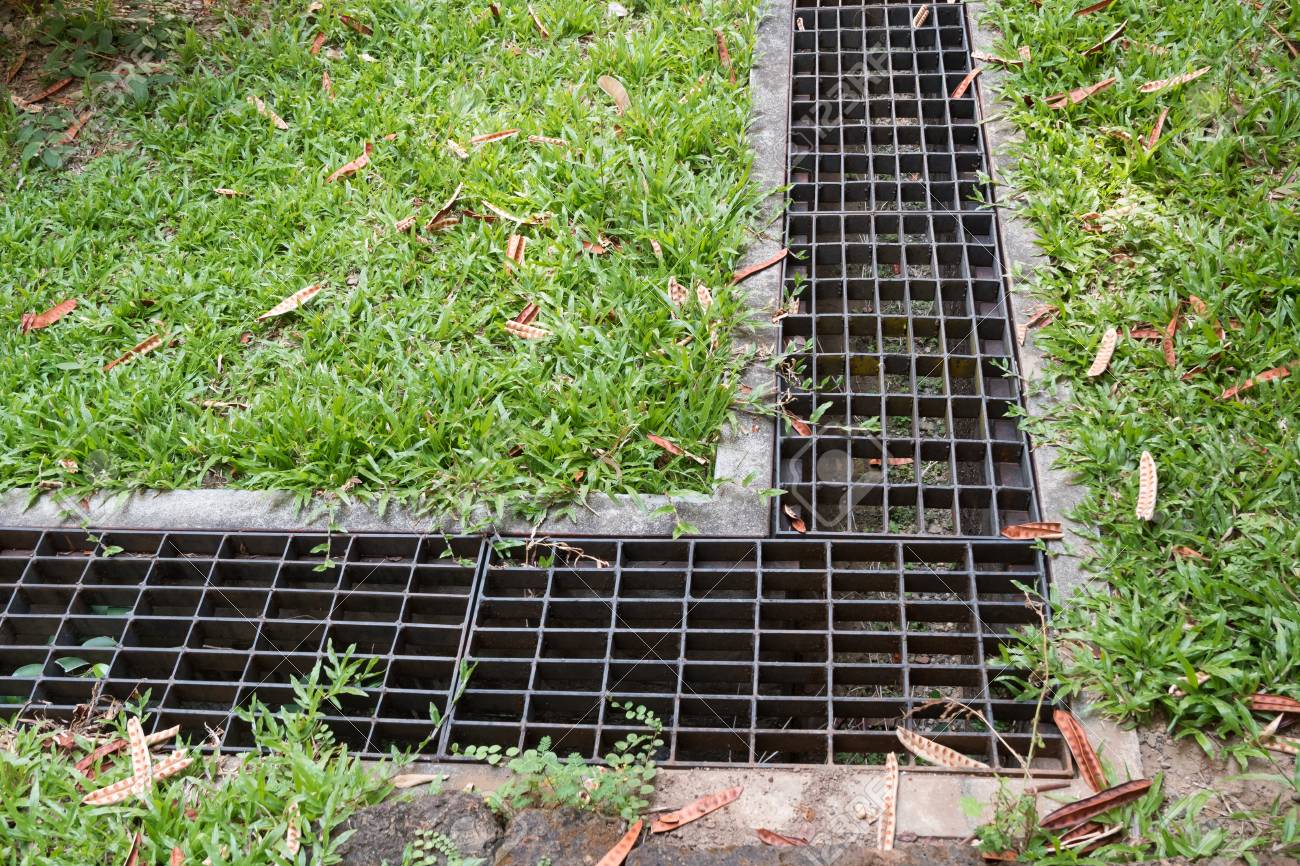 Rejilla de hierro para desagüe  Rejas para jardin, Rejas de hierro,  Paisajismo de patio