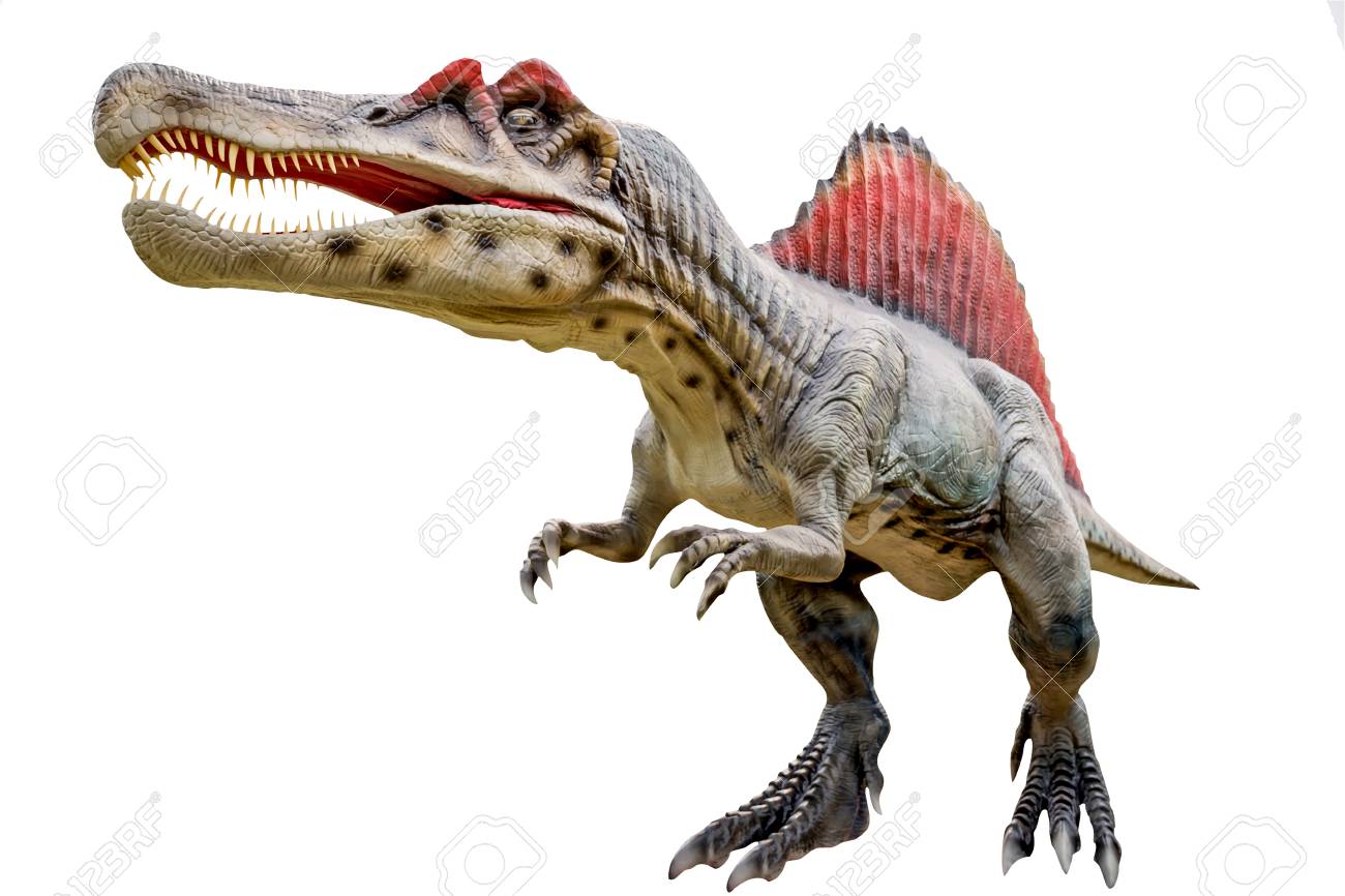 400+ Gambar Dinosaurus Spinosaurus HD Terbaru 400+ Gambar Dinosaurus Spinosaurus HD Terbaru