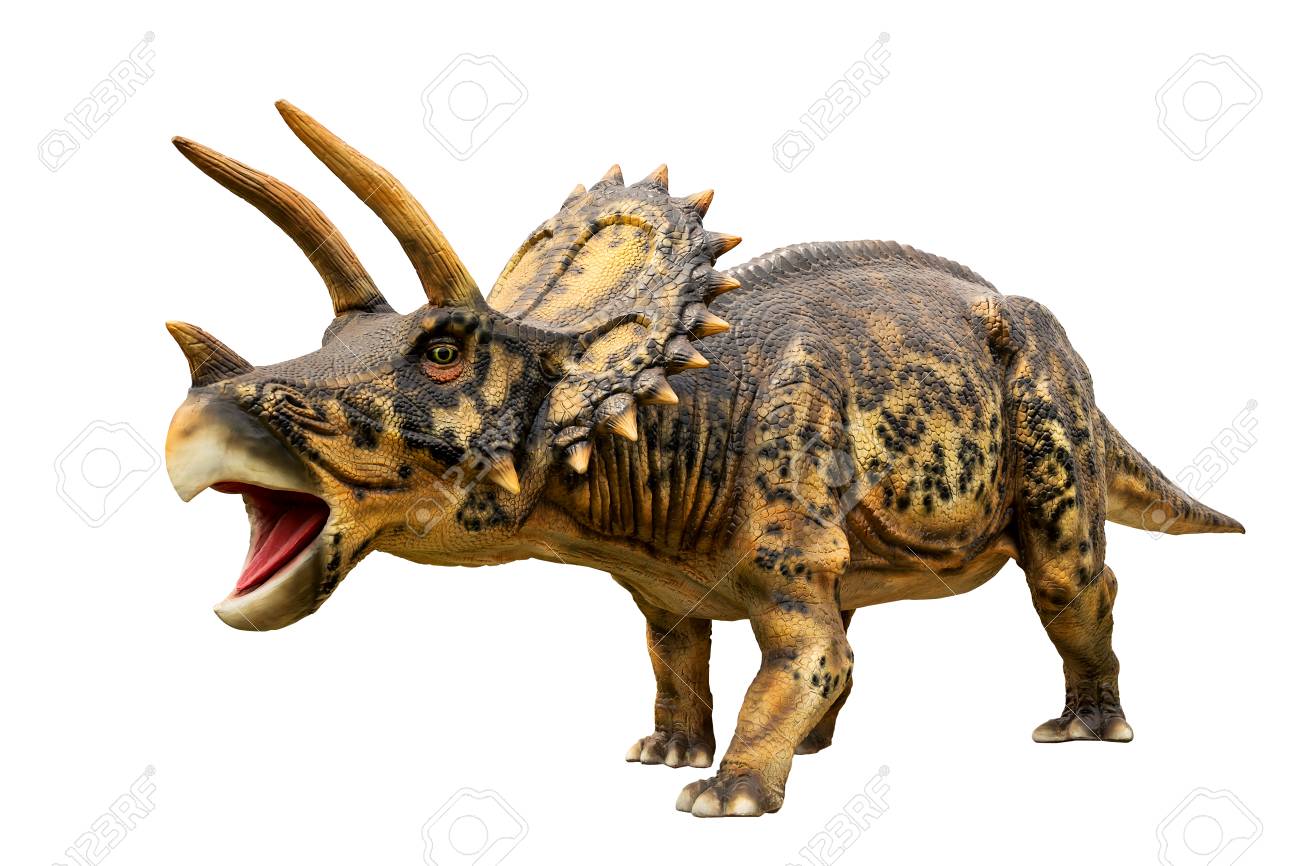 Dinosaur Triceratops And Monster Model Isolated White Background Stock Photo Picture And Royalty Free Image Image