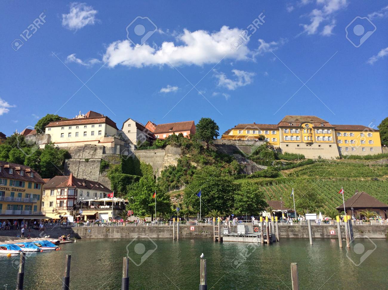 etiam-dictum-ipsum-a-felis