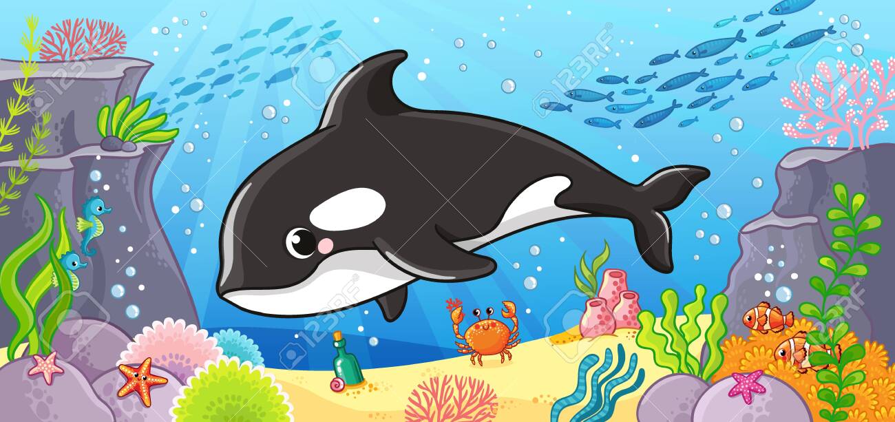 Vector Illustration On A Marine Theme With A Cute Killer Whale. Sea Life In  Cartoon Style. Royalty Free SVG, Cliparts, Vectors, and Stock Illustration.  Image 135637278., image size:1300x613
