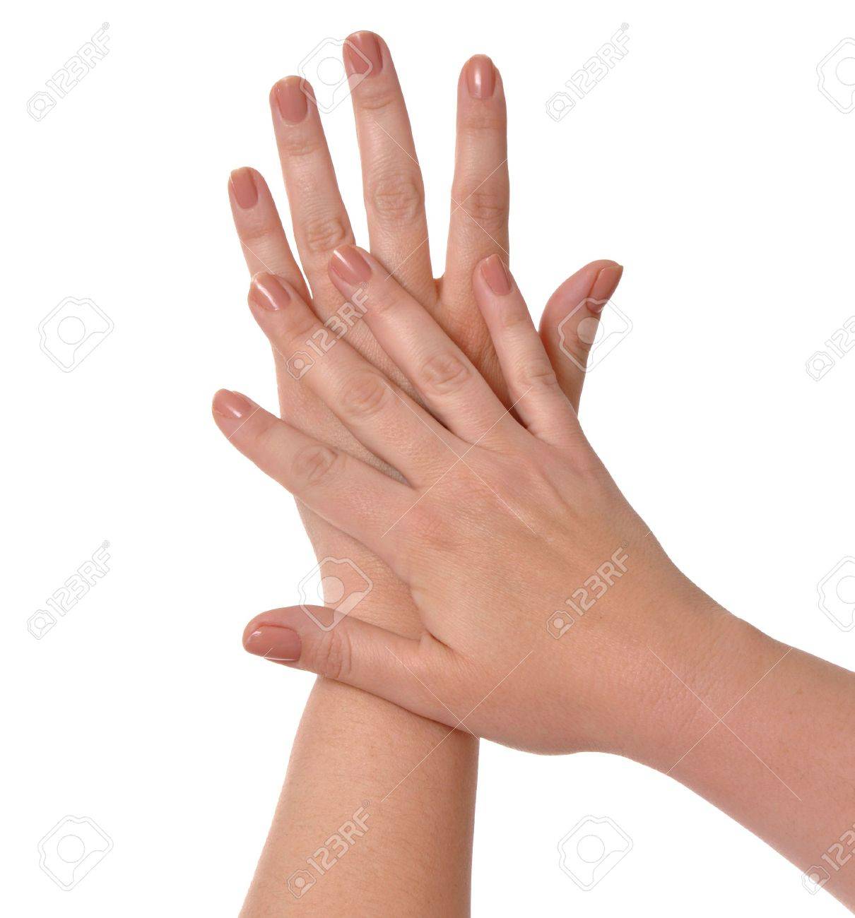 白い背景の美しい柔らかな手 の写真素材 画像素材 Image