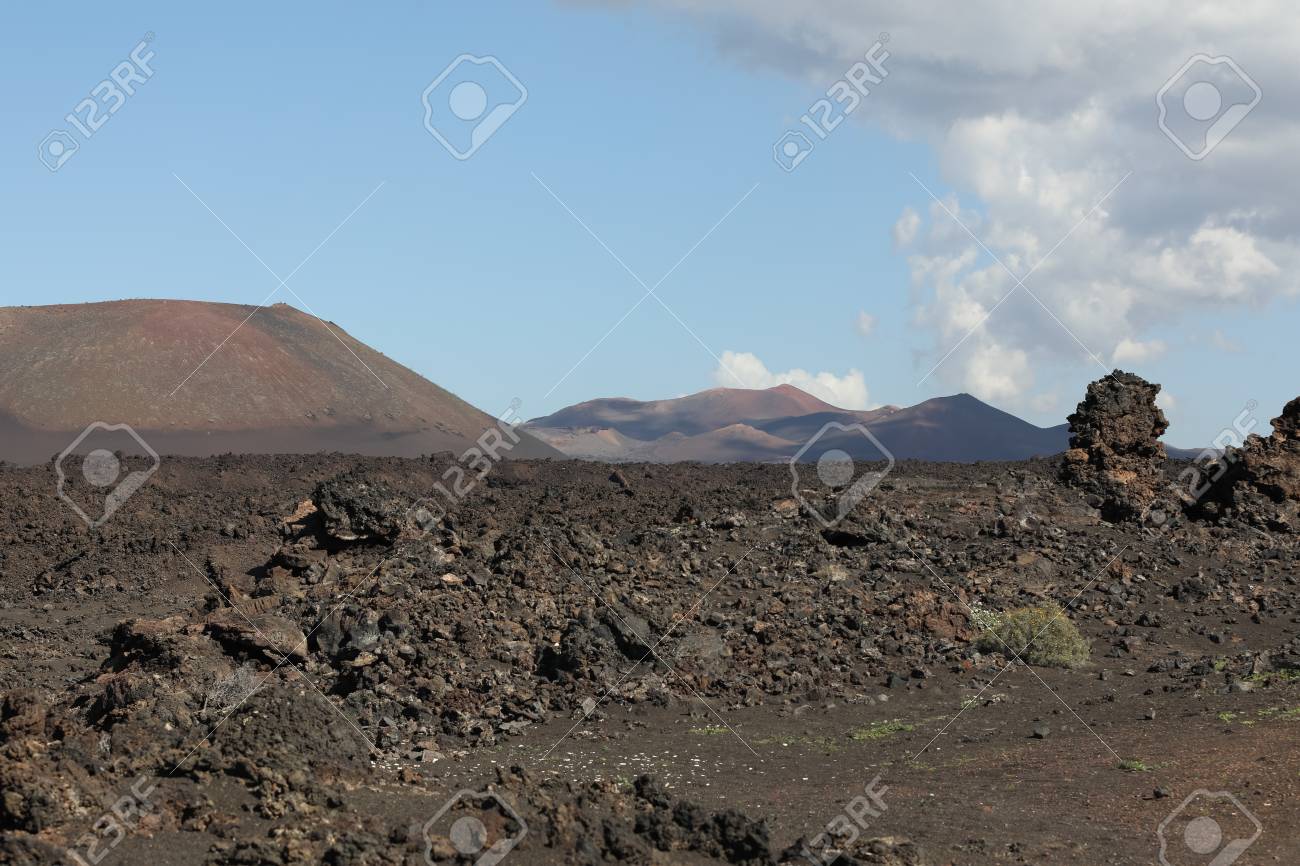 Volcanic, but green landscape on Lanzarote. - 81404440 Volcanic, but green landscape on Lanzarote. - 81404440