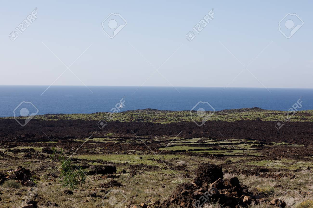 Volcanic, but green landscape on Lanzarote. - 81930390 Volcanic, but green landscape on Lanzarote. - 81930390