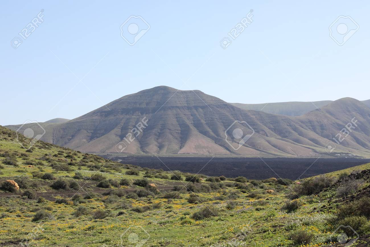 Volcanic, but green landscape on Lanzarote. - 81404374 Volcanic, but green landscape on Lanzarote. - 81404374
