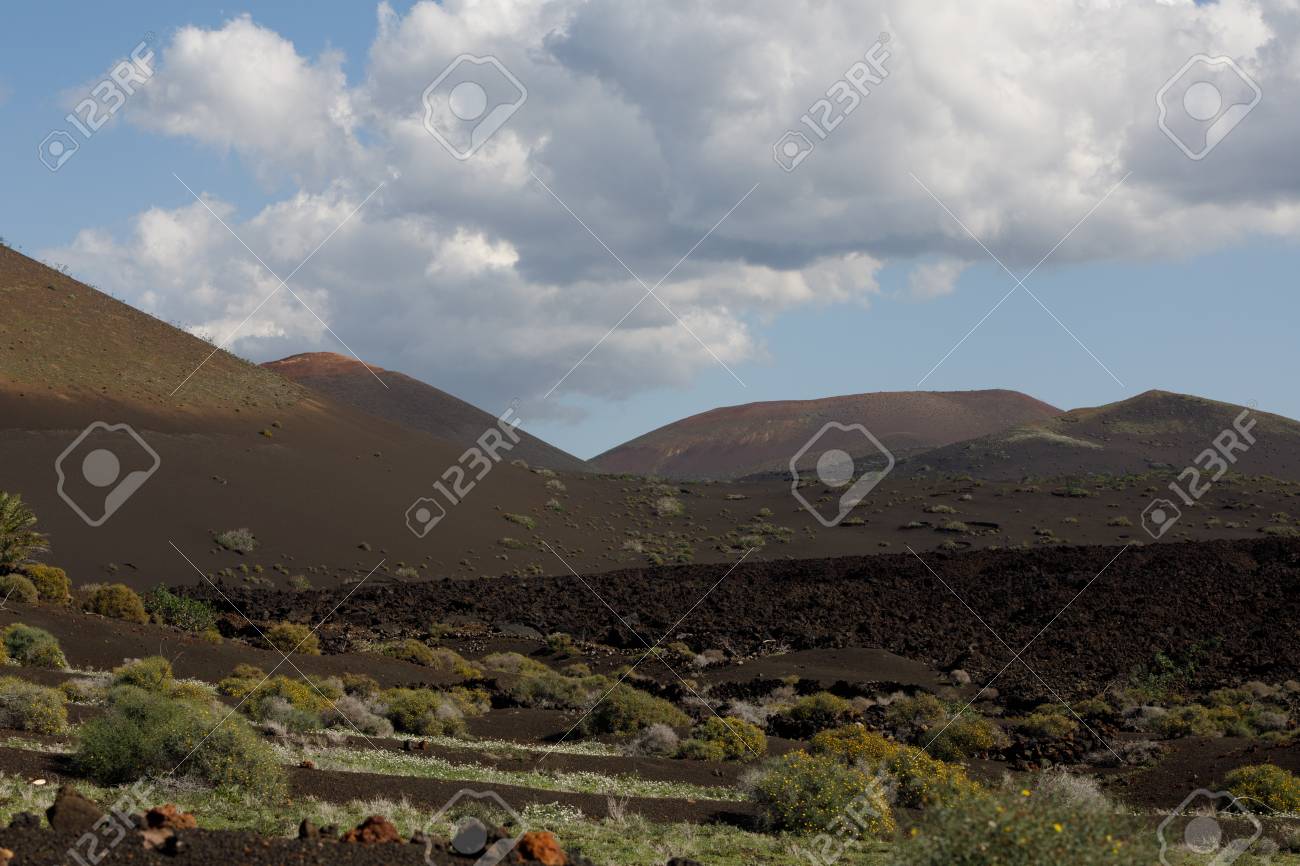 Volcanic, but green landscape on Lanzarote. - 81276628 Volcanic, but green landscape on Lanzarote. - 81276628
