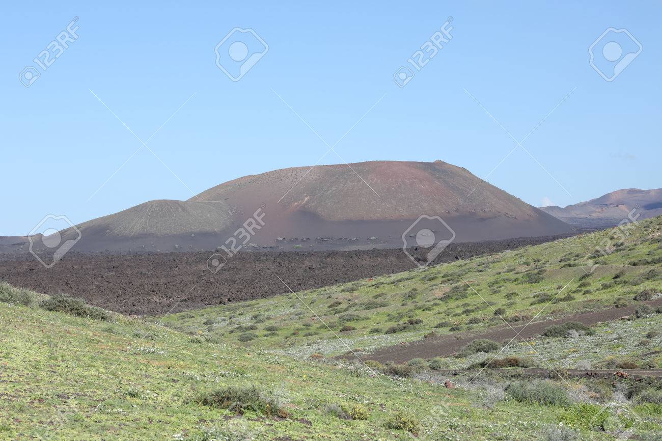 Volcanic, but green landscape on Lanzarote. - 81930392 Volcanic, but green landscape on Lanzarote. - 81930392