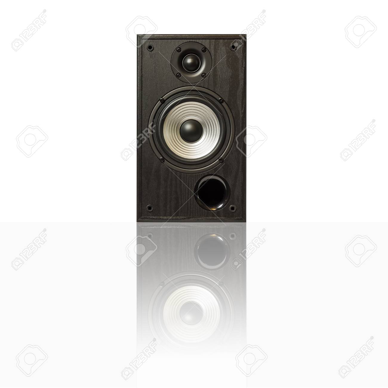 professional audio speakers