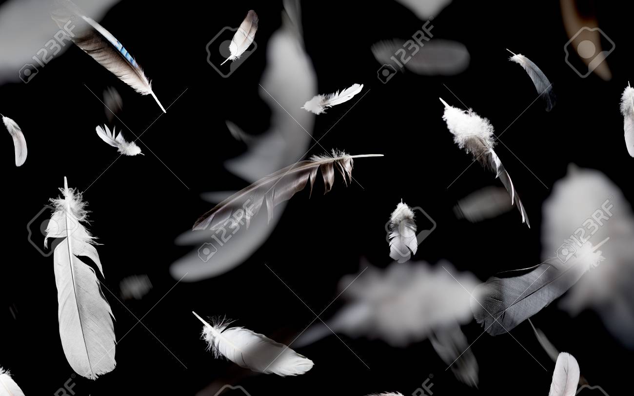 abstract pattern of falling feathers on a black background stock