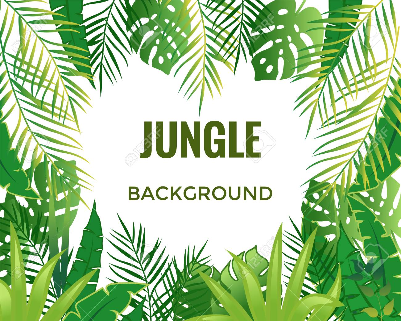 ジャングルの背景 ジャングルの木々 や植物 のイラスト素材 ベクタ Image