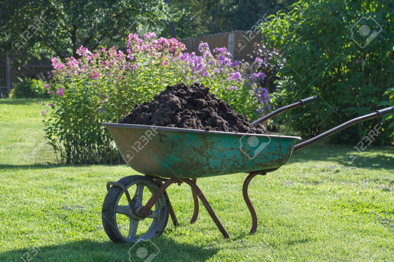 緑の芝生の庭に堆肥の完全な手押し車 の写真素材 画像素材 Image