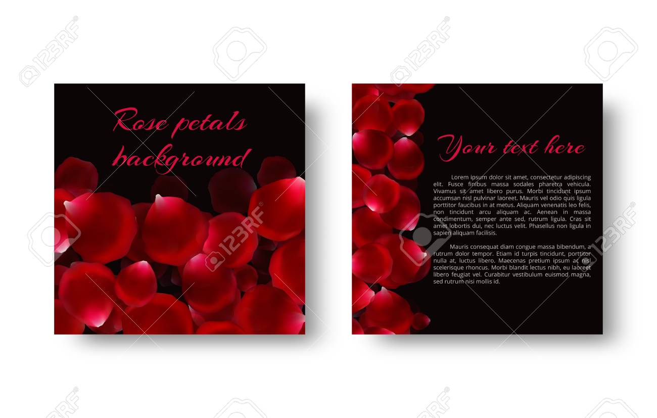 template greeting card with red flower petals royalty free cliparts