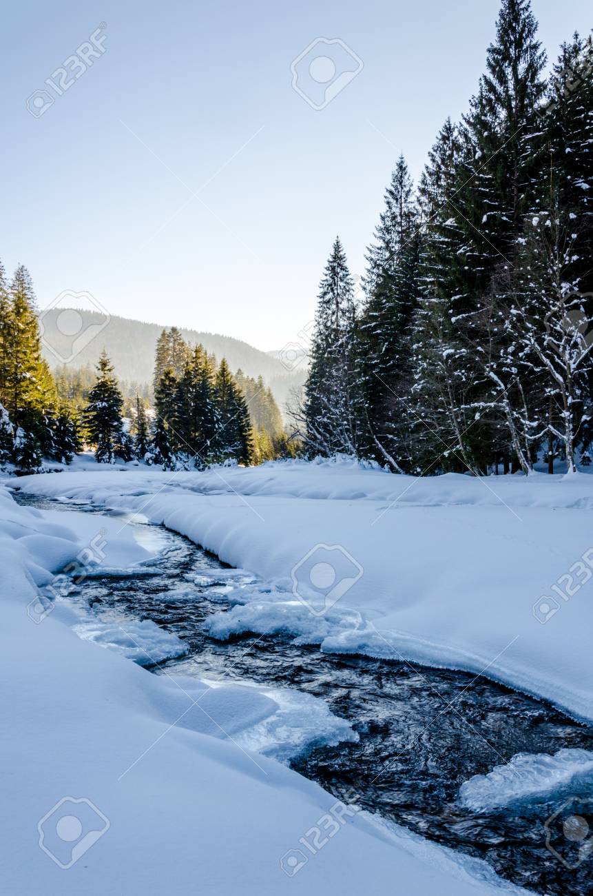 冬の山の風景 冷凍川木 々の間を流れる雪で覆われています の写真素材 画像素材 Image