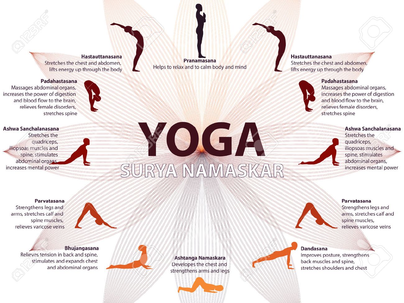 Yoga infographics, Surya Namaskar sequence, Salutation to the Sun, benefits of practice - 51739270 Yoga infographics, Surya Namaskar sequence, Salutation to the Sun, benefits of practice - 51739270