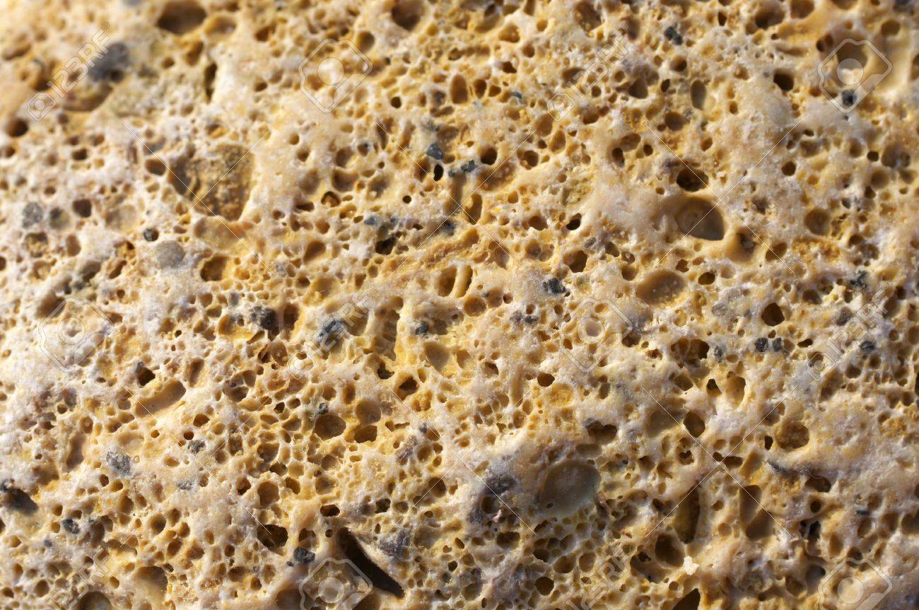 Rough Limestone Texture Rough Limestone Texture