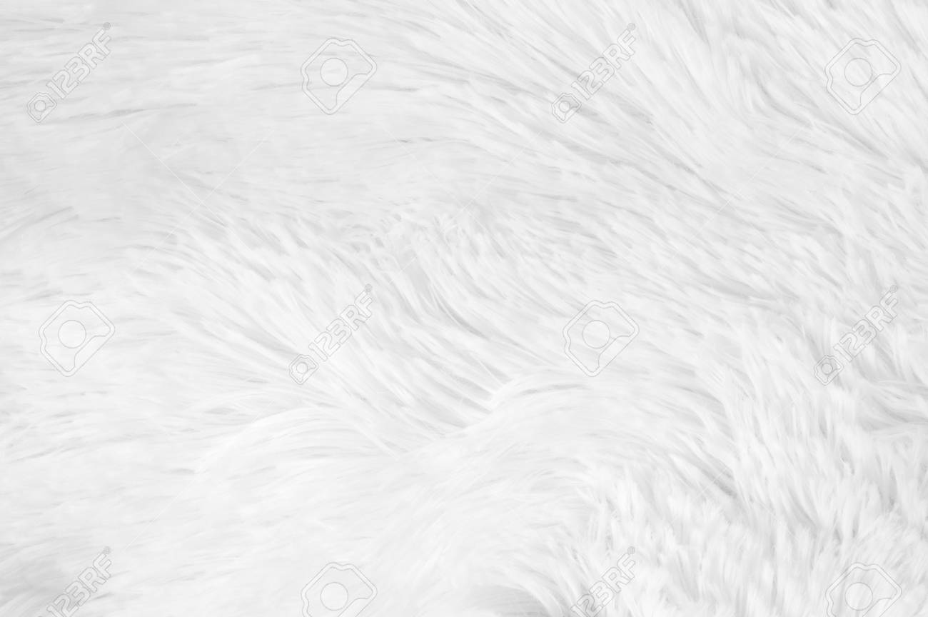 White Shaggy Blanket Texture As Background Fluffy Fake Textile Stock Photo White Shaggy Blanket Texture As Background Fluffy Fake Textile Stock Photo